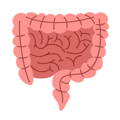 Colonic Irrigation - The Importance Of Colon Health.