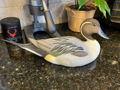 Hand-crafted Wooden Drake Pintail Decoy