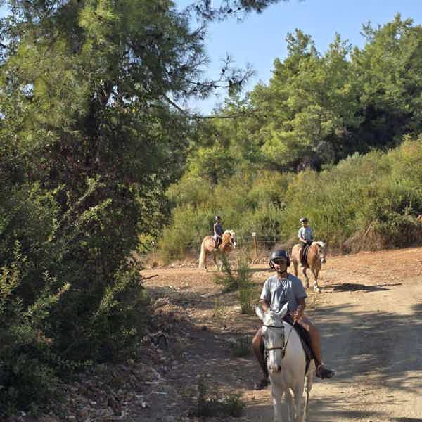 Horse Safari and Family Activity Park Entry in Side - photo 2