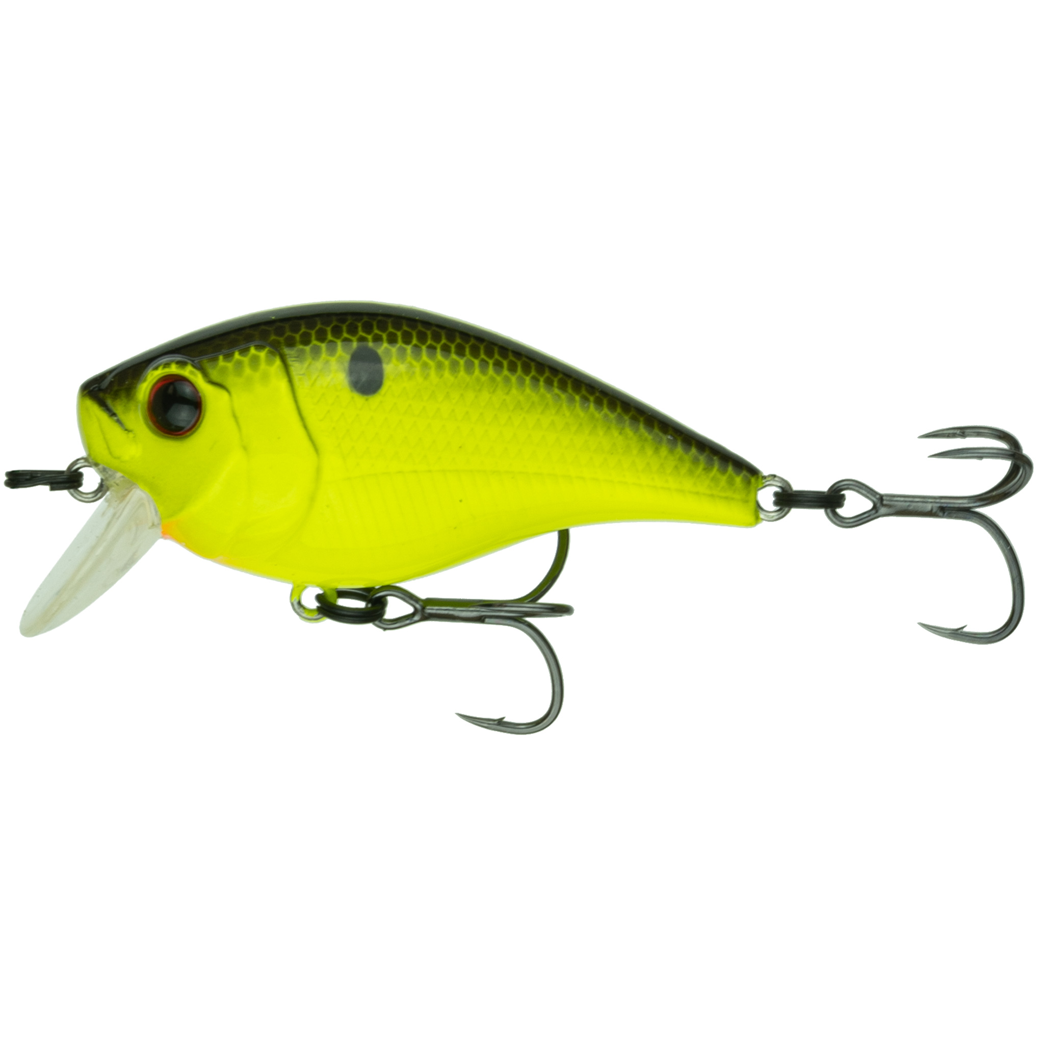 Shallow Diving Crankbaits – 6th Sense Fishing