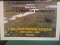 Duffy Retriever Training Session