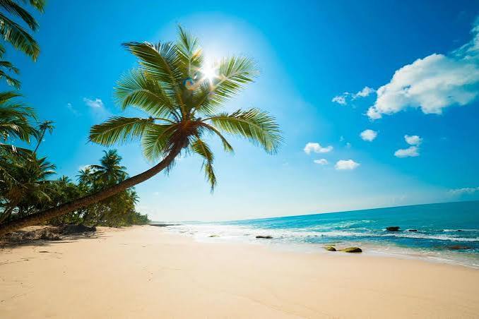 Best Beaches in NE Florida | From Jacksonville Beach to Amelia Island