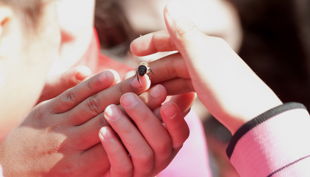 bienen bausmuehle natuerlich lernen solingen