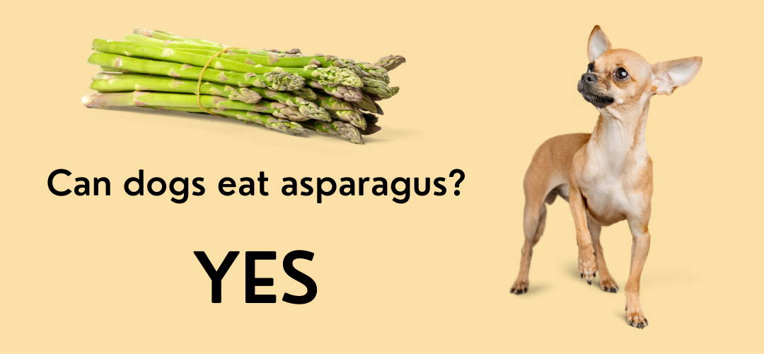 are asparagus bad for dogs