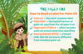 How to Read a Label for Palm Oil | The Milky Box
