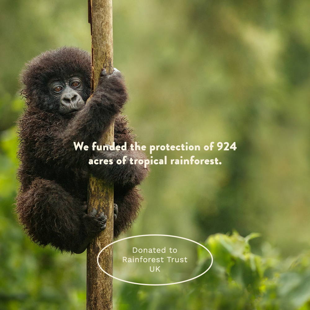 we funded the protection of 924 acres of rainforest land for jungle animals