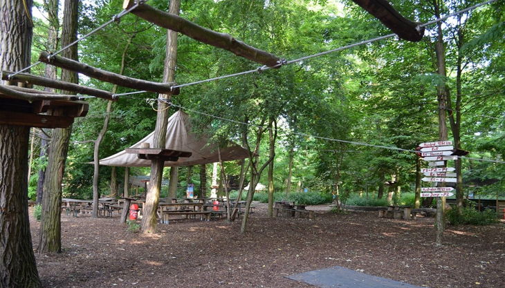 treetree picknick bereich