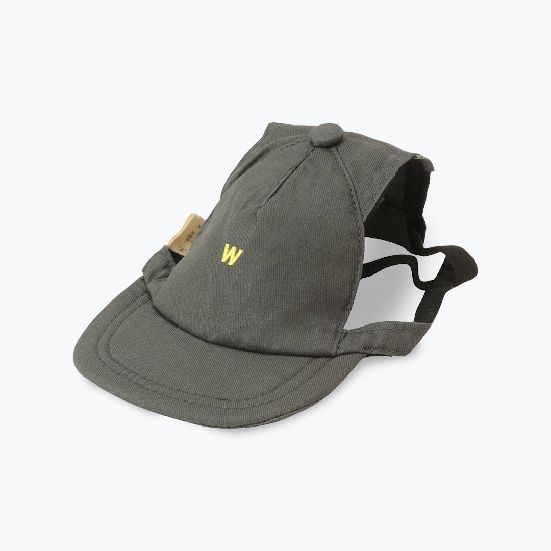 CAPS
