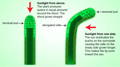 Diagram showing how auxins work on a terminal bud: where the sunlight is present, auxins elongate the opposite side. 