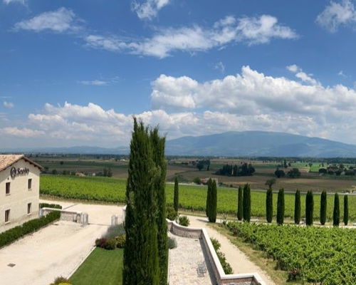 Food & Wine Tours Bevagna: Tasting of 4 wines with cured meats and cheeses
