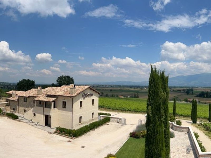 Food & Wine Tours Bevagna: Tasting of 4 wines with cured meats and cheeses