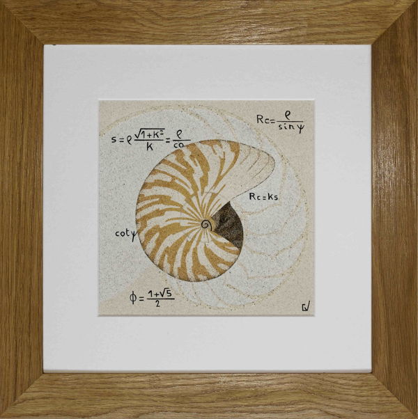 Nautilus and its spiral