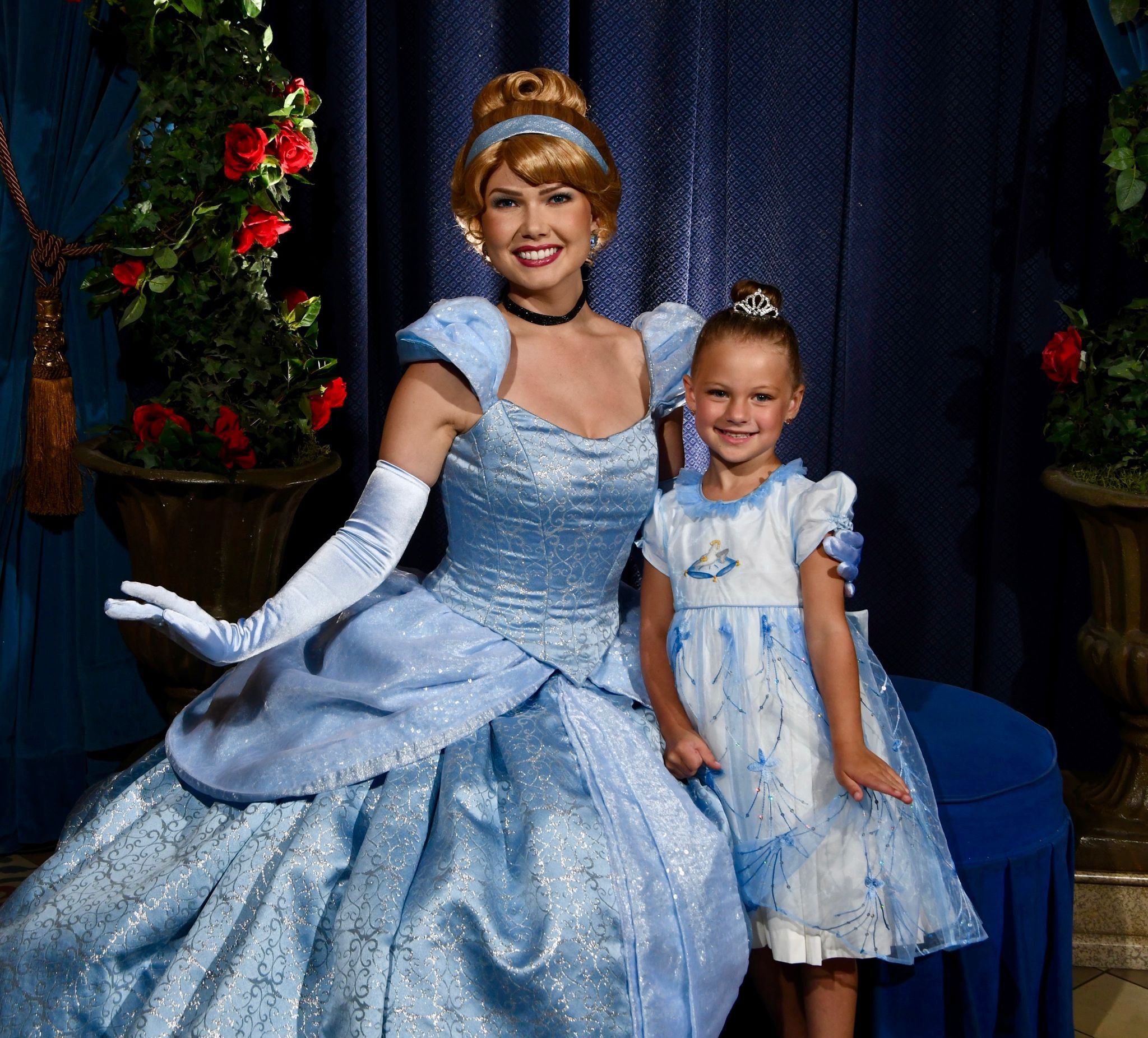 Princess embroidered dress