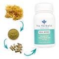 Sea Moss supplement by The Herbalist showing raw sea moss, powdered extract, and capsules for nutrient support and anti-aging benefits.