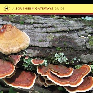 A Field Guide to Mushrooms of the Carolinas