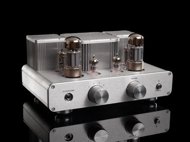 Woo Audio WA2 Headphone Amp           sold  sold sold  ...