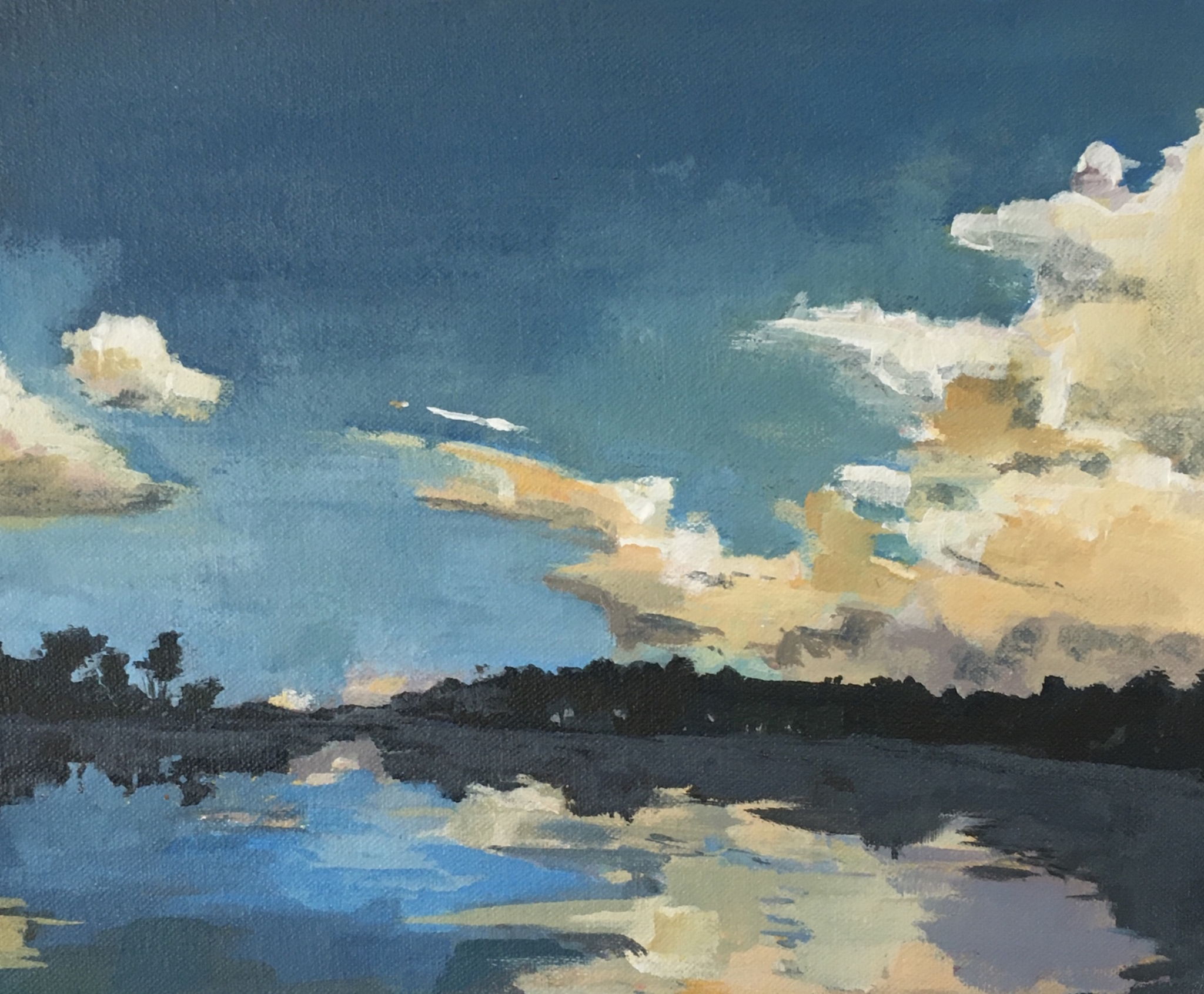 Swanpool at Dusk