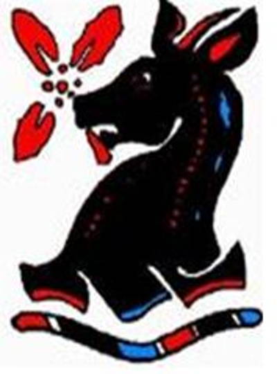 Haverhill Cricket Club Cricket Club Logo