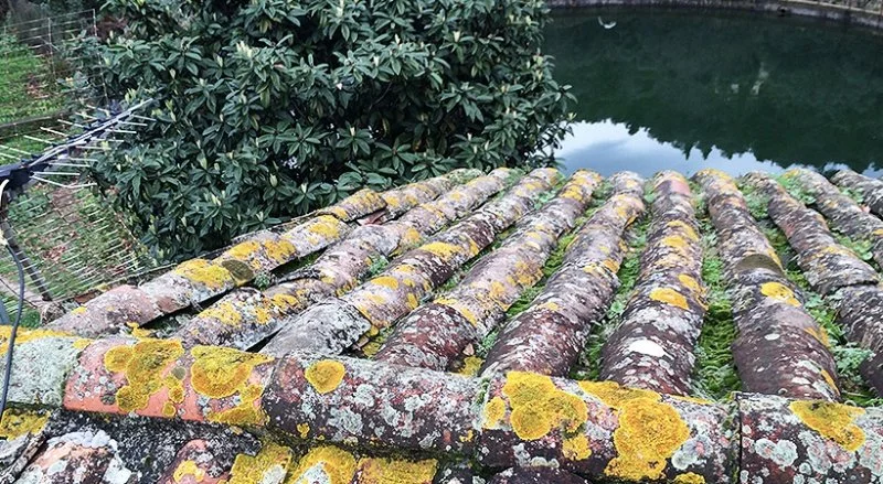 Rénovation de la couverture en tuiles romanes à Menton — photo 11 sur 34 — CEG TOITURE