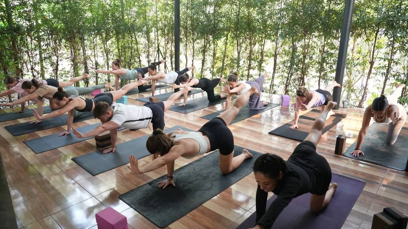 Yoga Pass: 5 Classes
