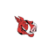Bromsgrove Cricket Club logo
