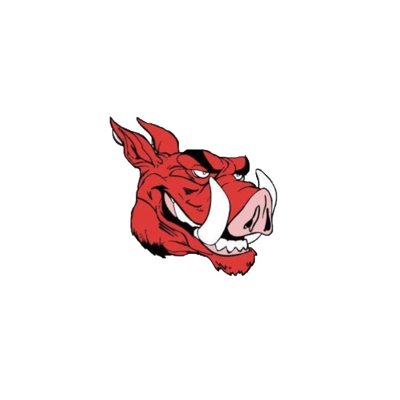 Bromsgrove Cricket Club Logo
