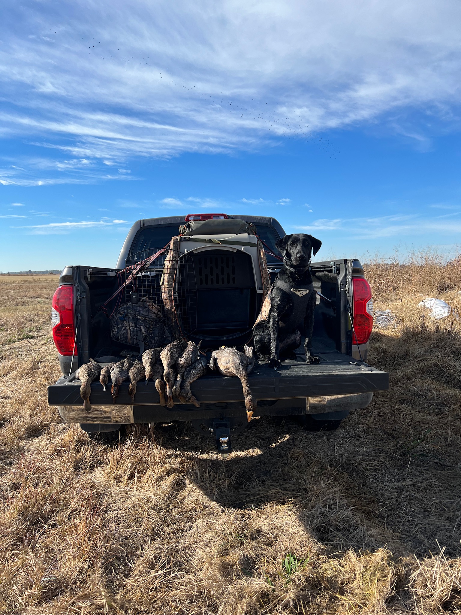 Waterfowl hunting in Arkansas