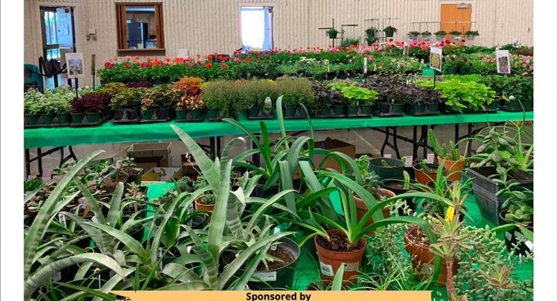 Annual Spring Plant Sale