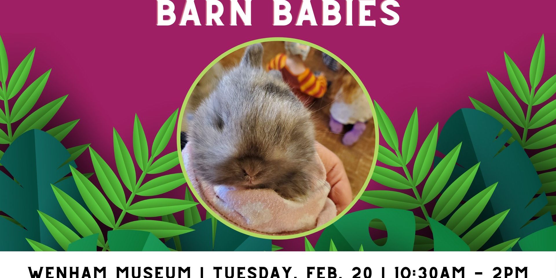 Barn Babies promotional image