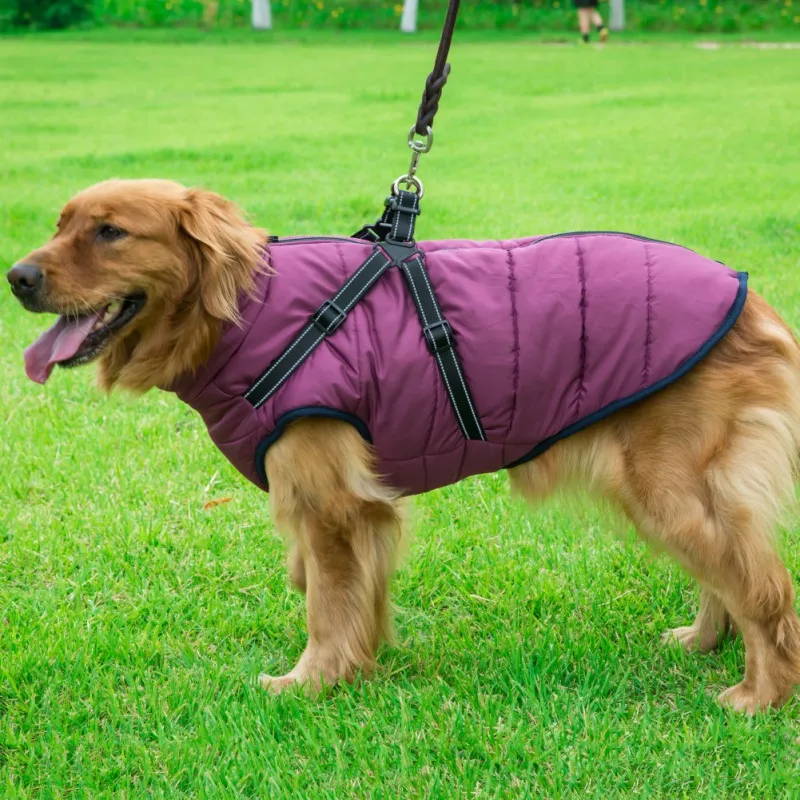 Warm Rainproof Dog Coat/Jacket Pup Buddy