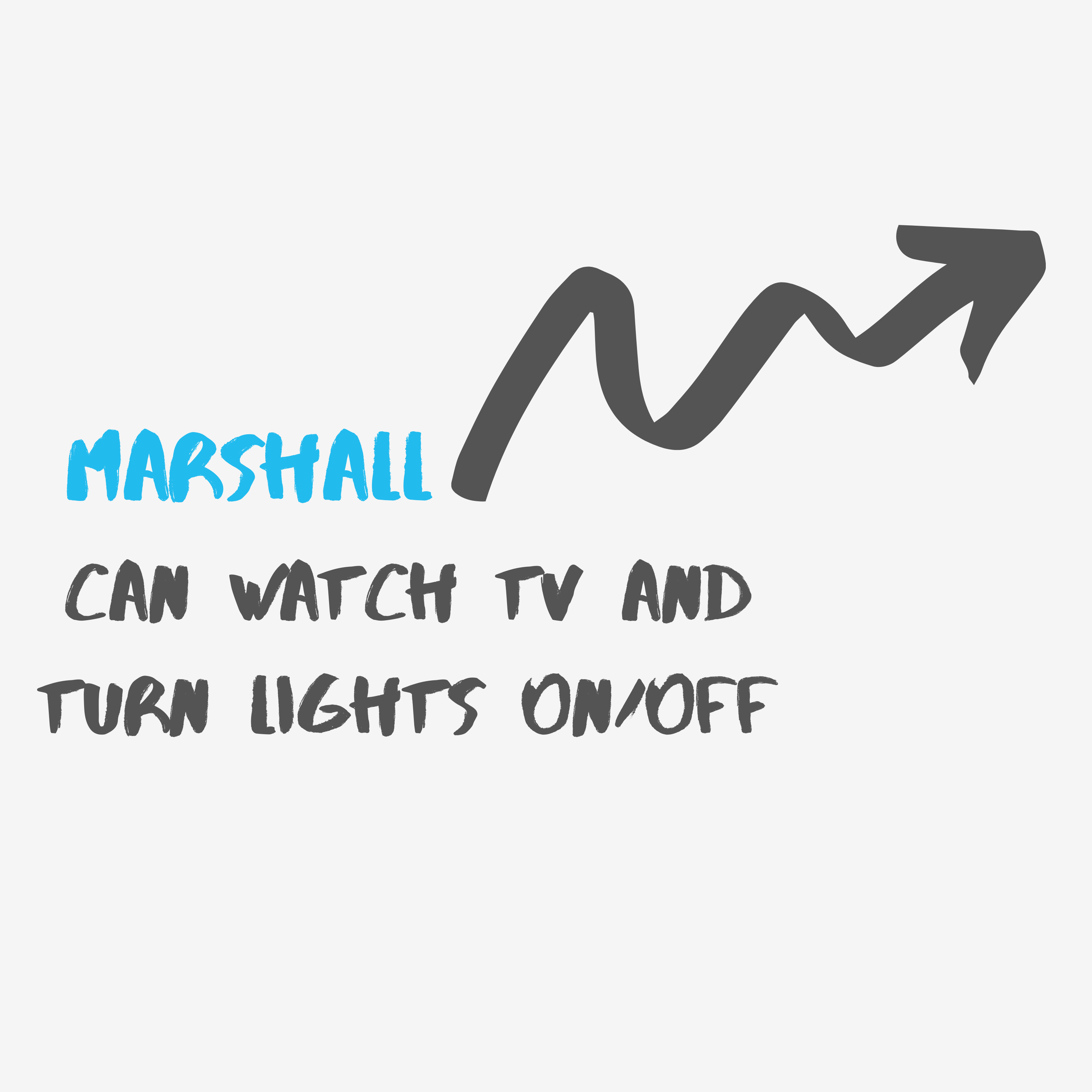 Marshall can watch tv and turn lights On/Off with tecla- e watch the video