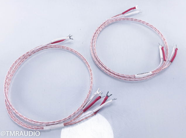 Kimber Kable Ascent 8TC Bi-Wire Speaker Cable; 4 ft Pai...