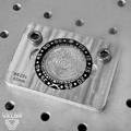 Custom bezel with crossed rifles