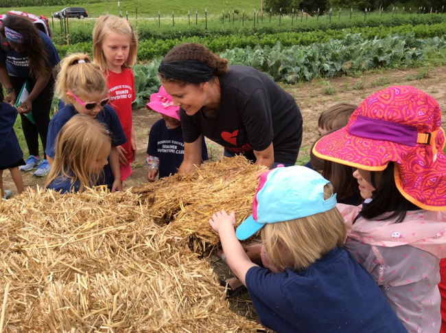 Primrose students weed, harvest, and lay hay at a Madison Area Food Pantry Gardens at Blackhawk Church in Middleton