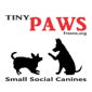 Tiny Paws Fresno logo