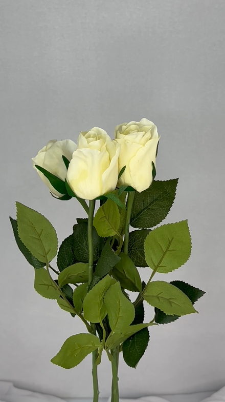 Cream Real Touch Rose Open Bud - Realistic Artificial Flowers - Image 4