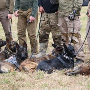 Joint Task Force K9s - Joint Task Force K9s is a faith-based nonprofit enriching the lives of Active-Duty Military, Combat Veterans, and Law Enforcement with disabilities through K9 Therapy classes and the placement of specially trained Service Dogs.