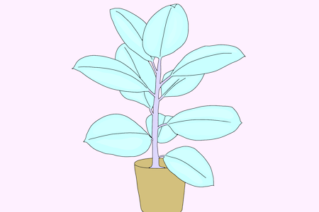 Image of a plant to demonstrate Lovability condoms are made from locally-sourced latex with no bad smells or taste
