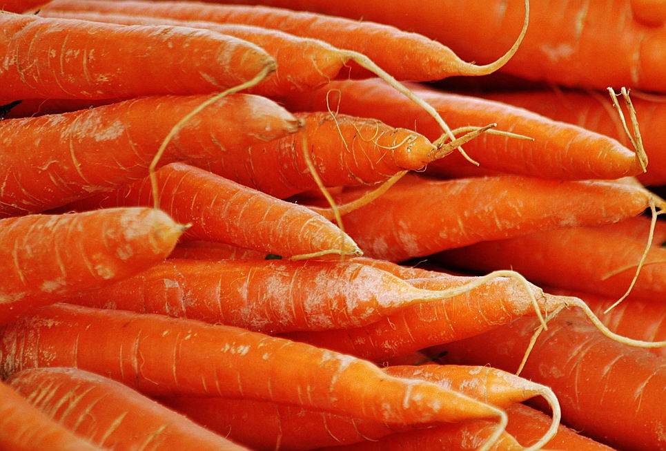  Santa Maria
- carrots-close-up-food-54082.jpg