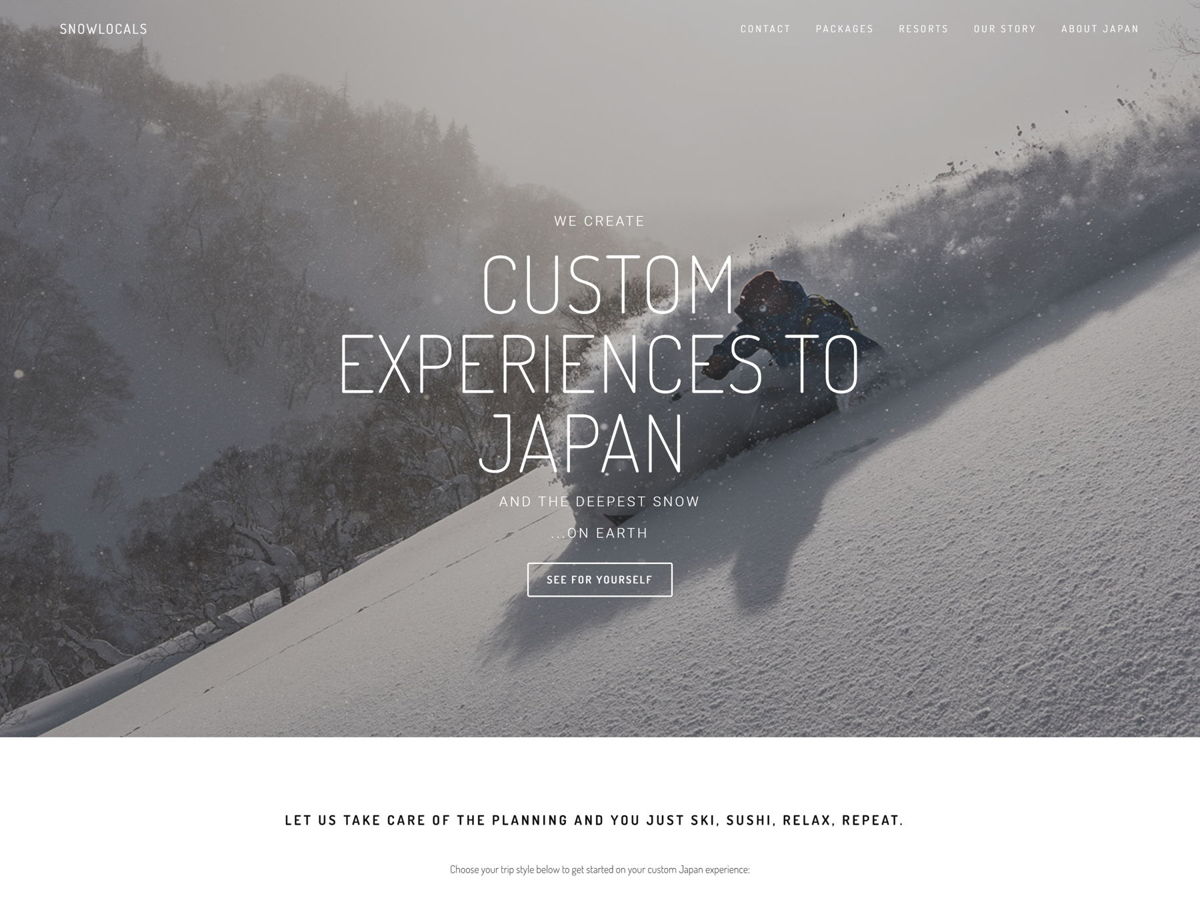 Screenshot of Snowlocals, from the white websites collection.