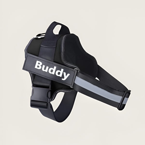 Pete's Pet Products - Personalised Dog Harness - Image 2