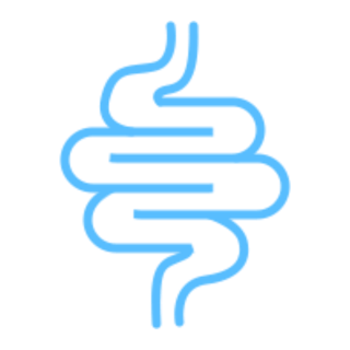 Colorful blue stylized spiral representing a winding digestive tract or intestine.
