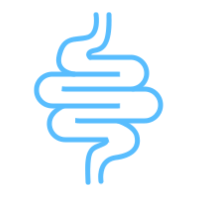 Colorful blue stylized spiral representing a winding digestive tract or intestine.