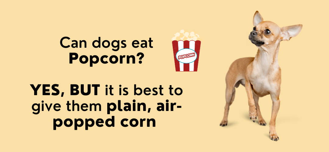 popcorn for dogs.png