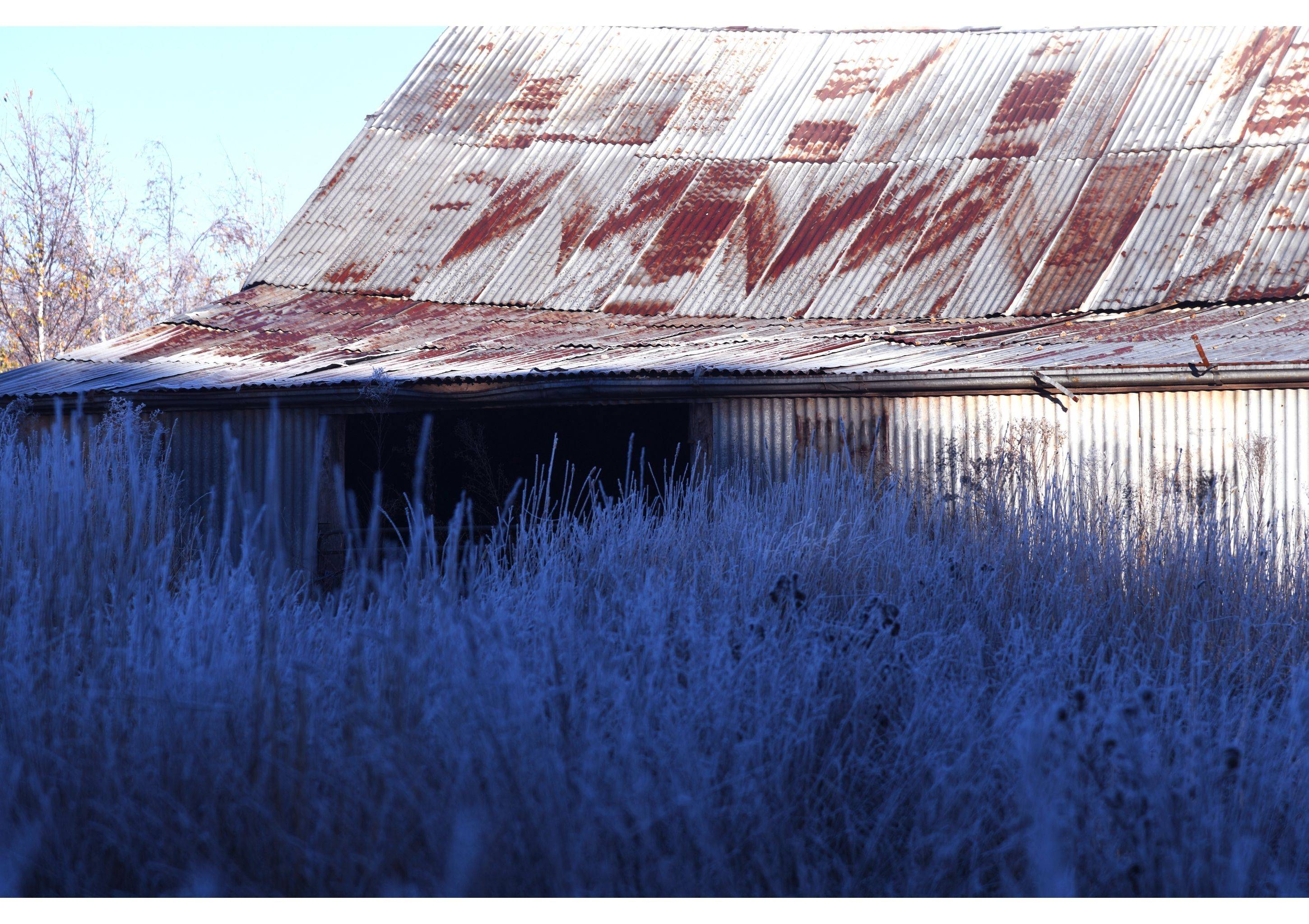 Frost Morning