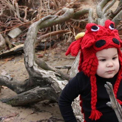 Crocodile Stitch Dragon Hat (Baby & Toddler Sizes)