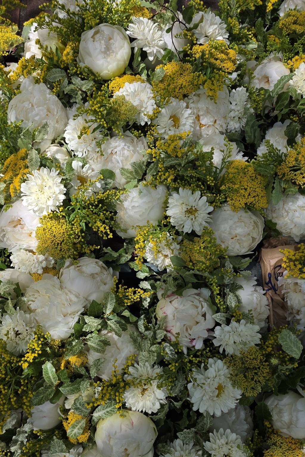 Arche floral