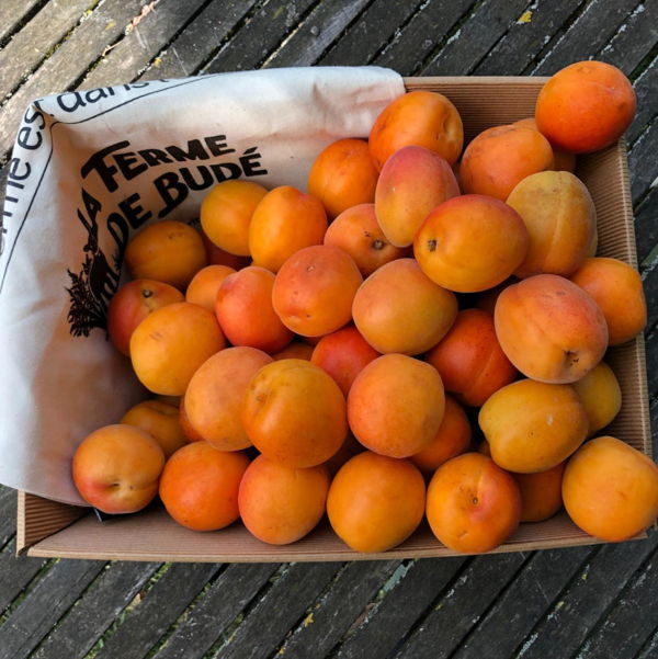 carton-dabricots-bio-3kg
