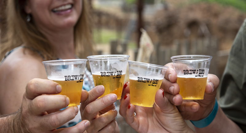 Brew at the Zoo