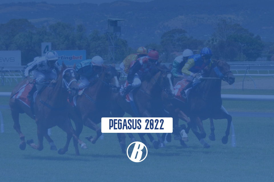 2022 Pegasus World Cup Best Bets And Longshots